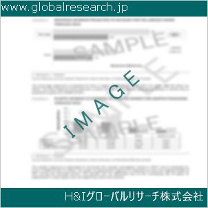 グローバルリサーチ調査資料のイメージ